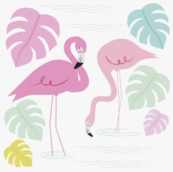 karte flamingo